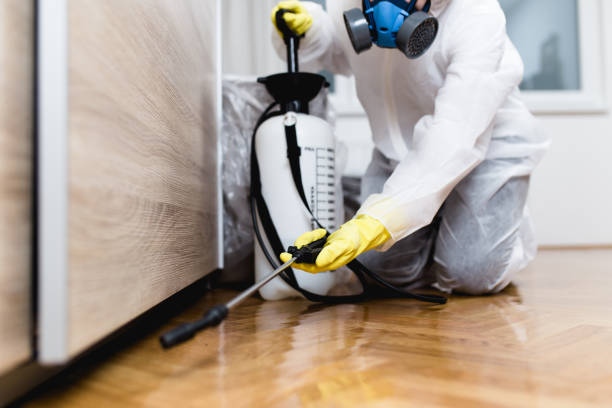 Flea Control Services in Ballville, OH