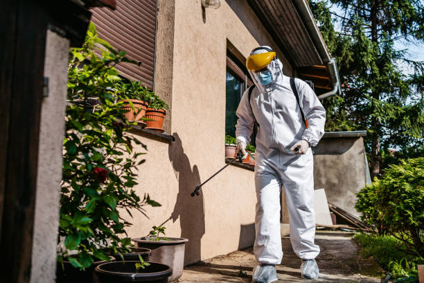 Best Cockroach Control Services  in Ballville, OH