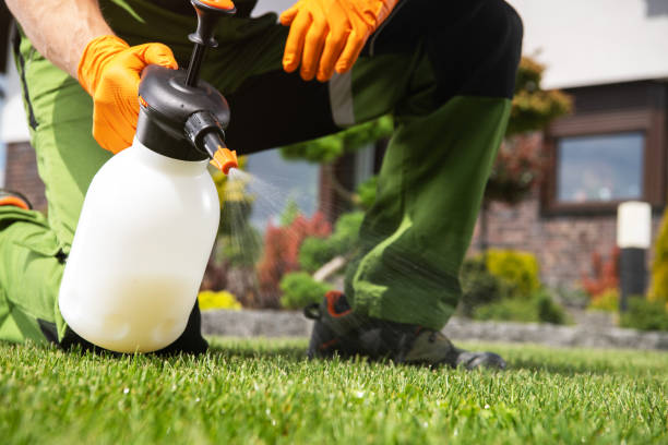 Best Pest Control for Businesses  in Ballville, OH