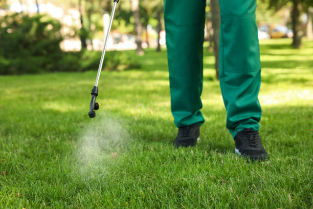 Best Exterminator Services  in Ballville, OH