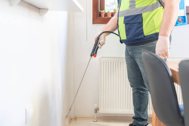 Best Bed Bug Extermination  in Ballville, OH