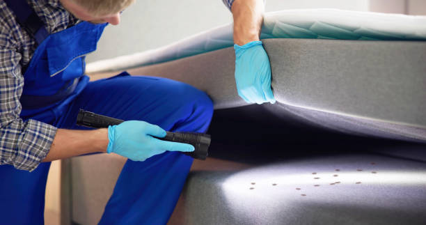 Best Best Pest Control Companies  in Ballville, OH