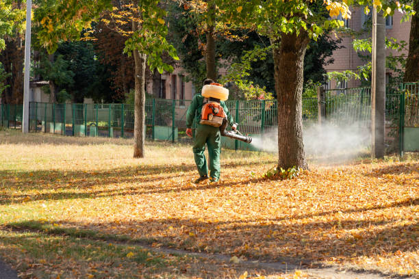 Best Bird Control  in Ballville, OH