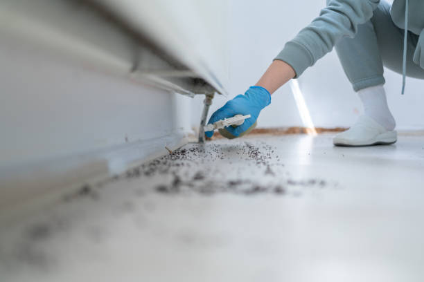 Best Pest Control Near Me  in Ballville, OH