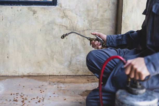 Best Pest Prevention Services  in Ballville, OH