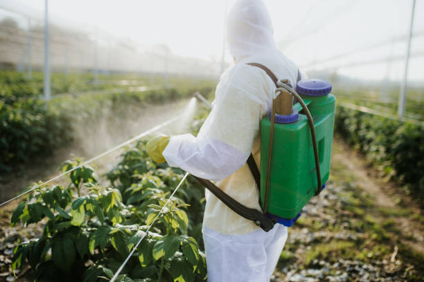  Ballville, OH Pest Control Pros
